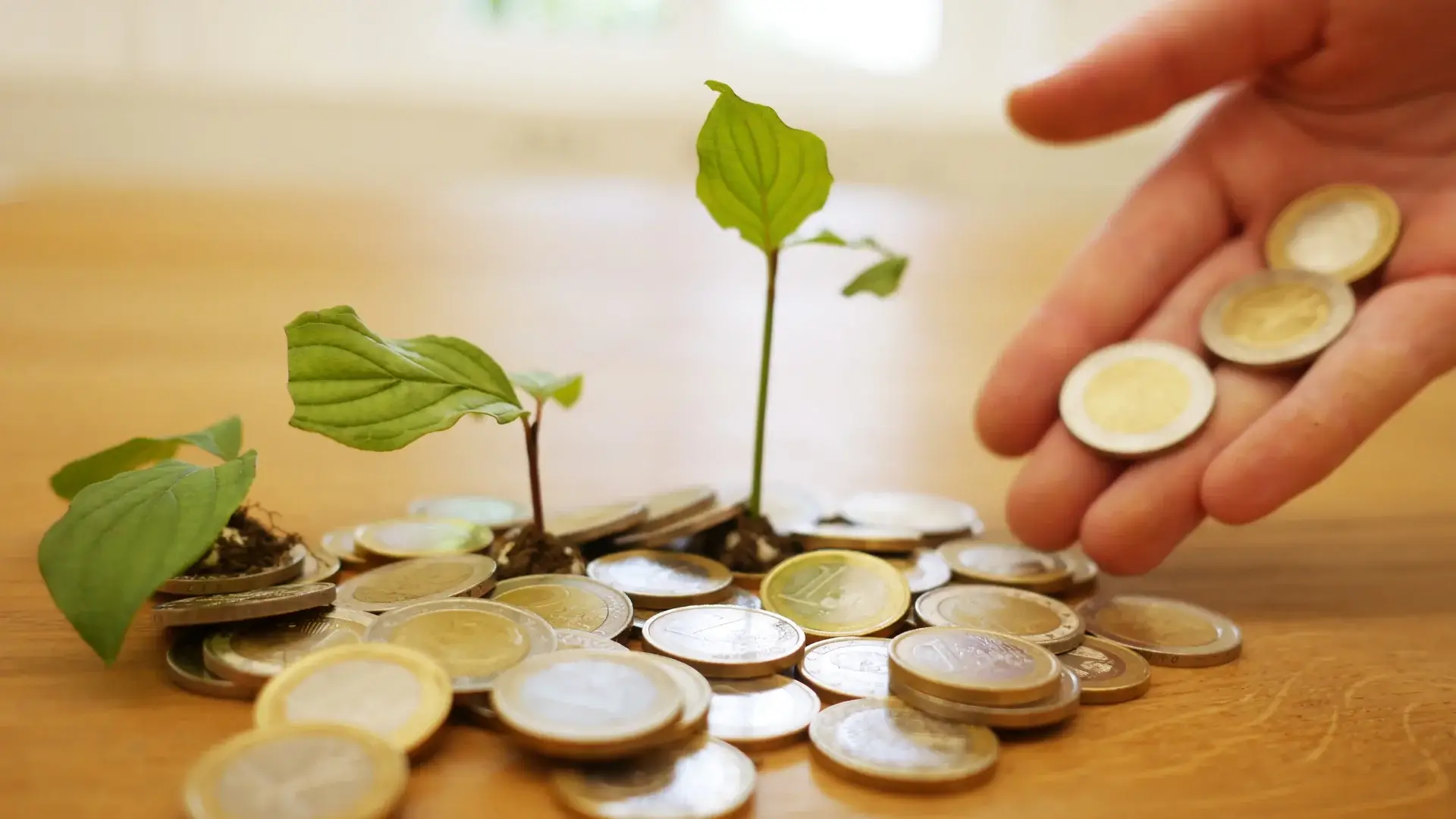 3 razones por las que los fondos de inversión de ZION superan a los fondos de inversión Genesis (1) 3 razones por las que los fondos de inversión de ZION superan a los fondos de inversión Genesis